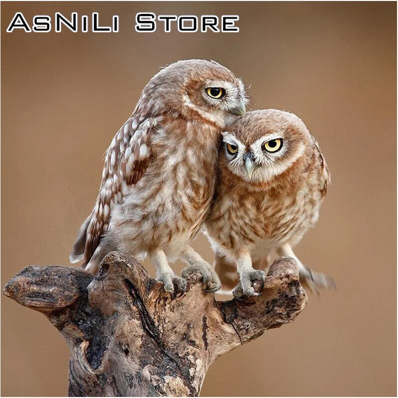 

Diamond Embroidery Animals cartoon Owl 3d Diamond Painting Cross Stitch Picture Of Rhinestones Full Square Diamond Mosaic Kits