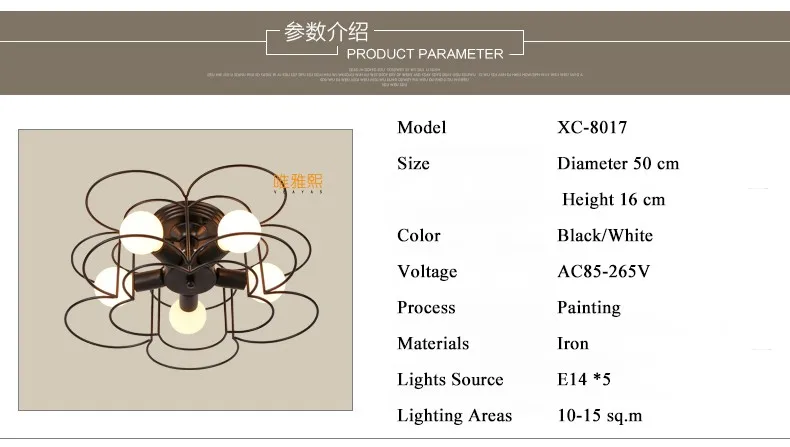 XC-8017 Ceiling lighting (16)_A