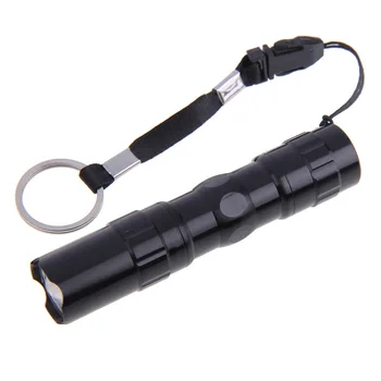 

Portable Mini Penlight LED Flashlight Torch Pocket Light Waterproof Lantern for Hunting Camping GHS99
