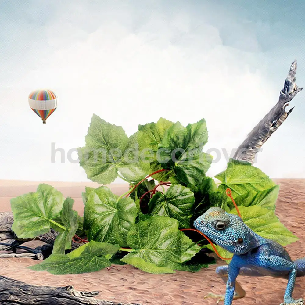 63 Best Images About Vivarium Inspiration On Pinterest | Crested Gecko