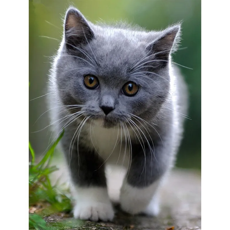 2345_image_file_copy_2