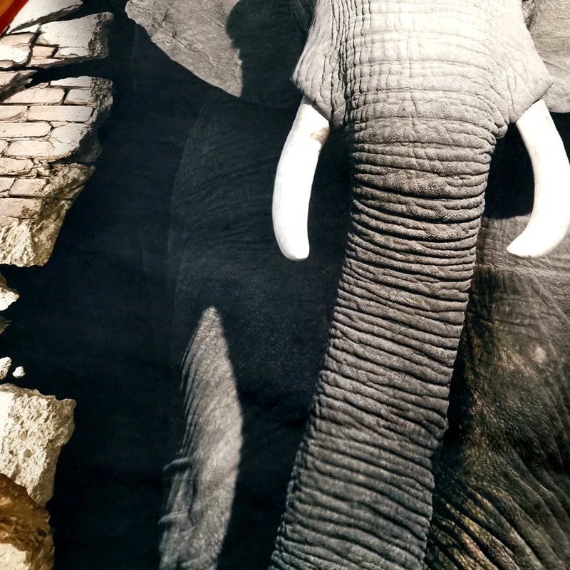 Индивидуальные слон Постельное белье 3D печатных пододеяльник двойной Черный и белый Покрывало наволочки постельное белье 2/3 шт.#/j