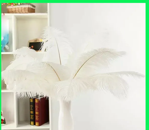 cheap feathers for sale ! 100pcs/lot 20 25cm white ostrich feathers