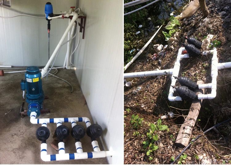 HTB19E9_QXXXXXbnXXXXq6xXFXXXp