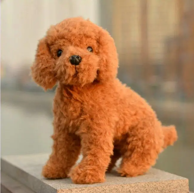 Teddybär Hund ZHAOXUAN Haustier Hund Kleidung Herbst und Winter Neue