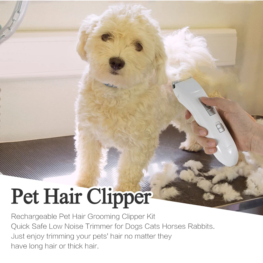 Us 20 6 46 Off Rechargeable Low Noise Cat Dog Hair Trimmer Electrical Pet Hair Clipper Trimmer Grooming Kit For Dog Cat Pet Accessories Haircut In