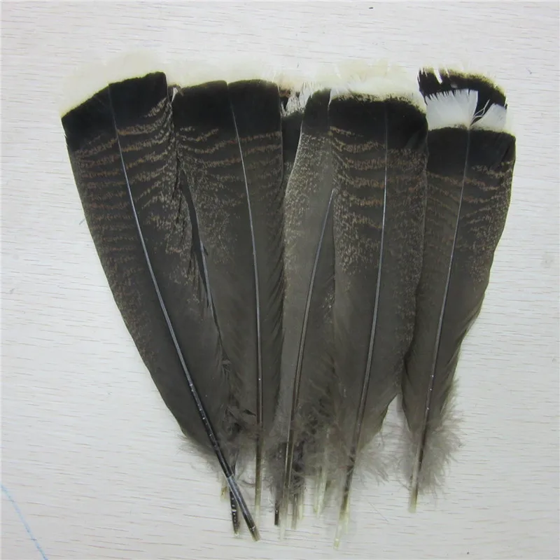 Plumes d'oiseau d'aigle naturelles de haute qualité, décoration de bijoux à bricoler soi-même, 25-30cm, 10-100 pièces