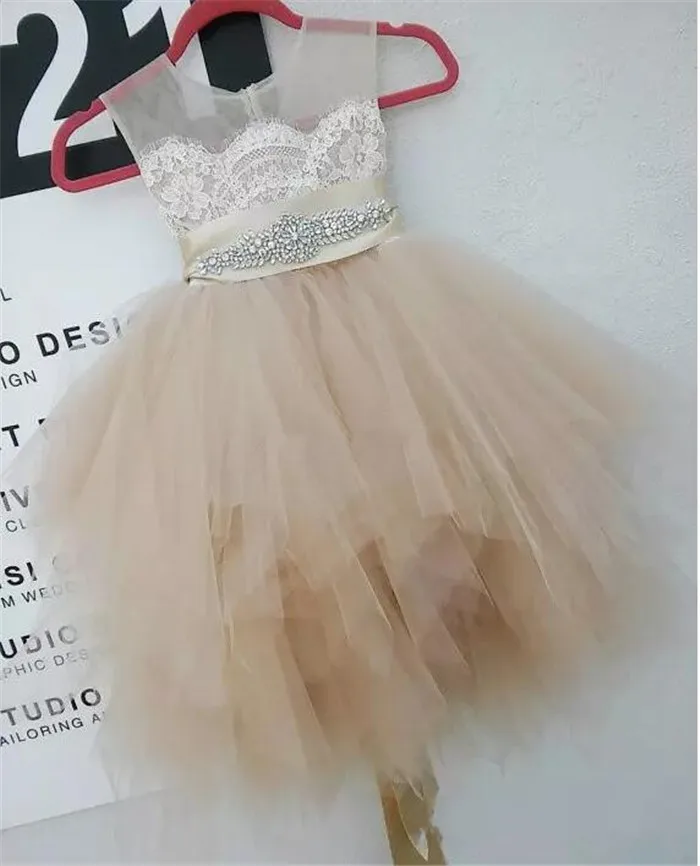 QQ20180813150643