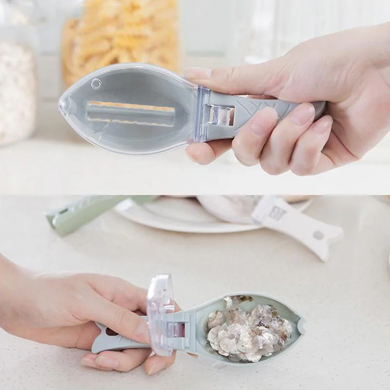 fish remover