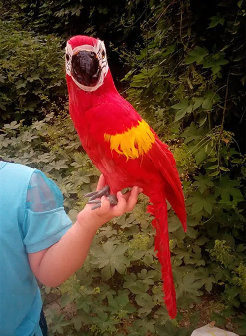 new creative simulation parrot toy resin&fur red parrot model gift about 53x16.5x12cm 1207