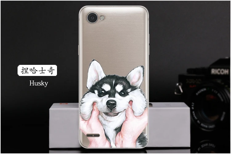  Husky