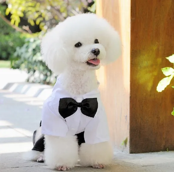 White Black Dog Clothes Dogs Wedding Dresses Puppy Outfit Mascotas White Black Dog Clothes Dogs Wedding Dresses Puppy Outfit Mascotas Perros Tuxedo Pet Jumpsuit Little Clothing For Pets Wx01 In Jumpsuits Rompers From