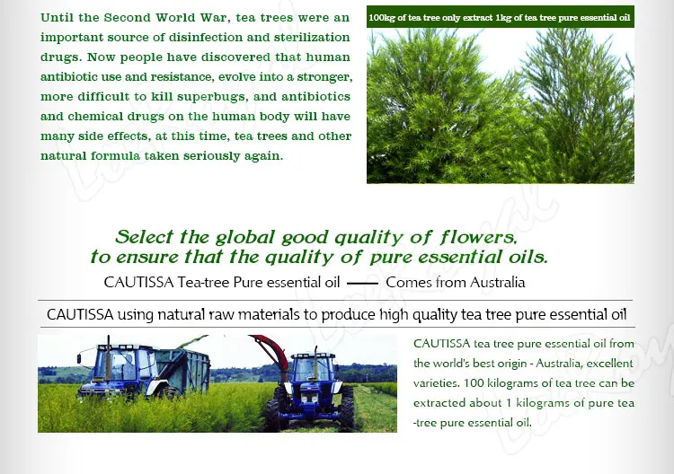 tea-tree-essential-oil_04