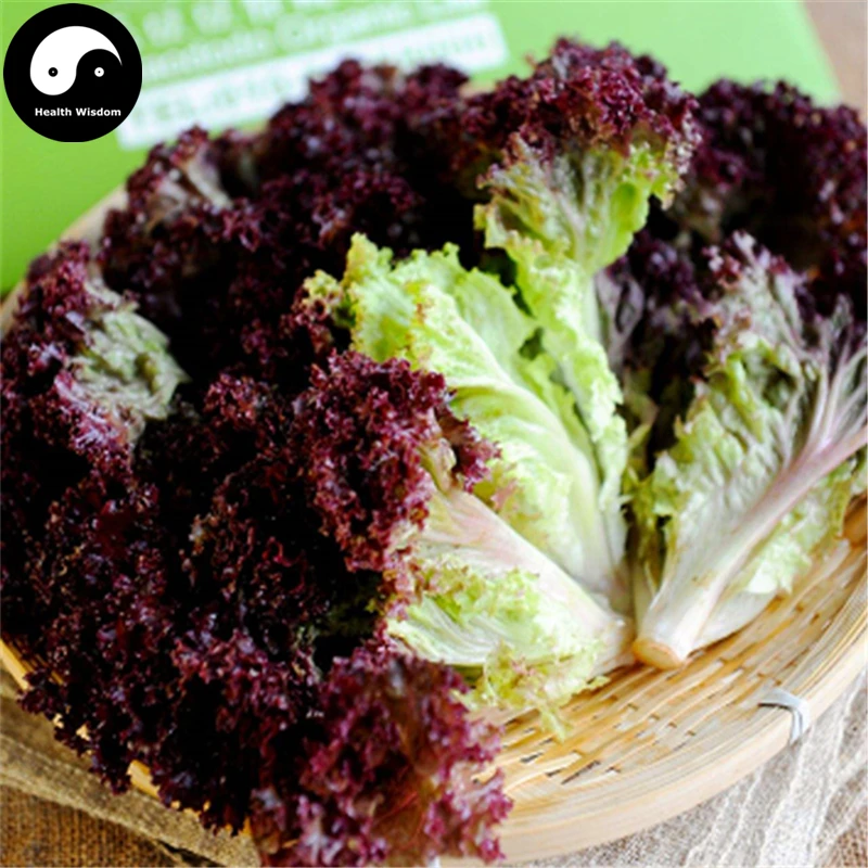 Купить фиолетовые листьев Lactuca овощей Semente 1200 шт. завод салат из овощей салат