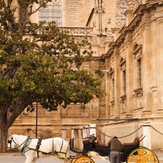 Spain  Seville  Horse carriage  Plaza del Triunfo Poster Print by Walter Bibikow (18 x 24)