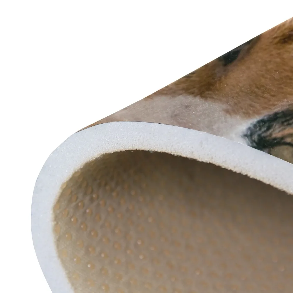 g2812081p144c159s234_5