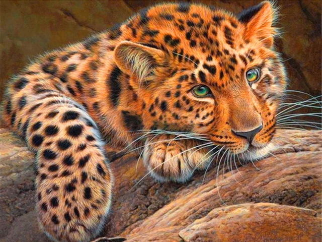 

100% DIY full square-Diamond-Painting by number, Diamond-Embroidery-Leopard-DIY-5D-Cross Rhinestone Decorative home gifts tools