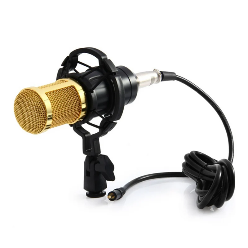 LEORY Professional BM 800 Microphone Condenser With Shock Mount Studio