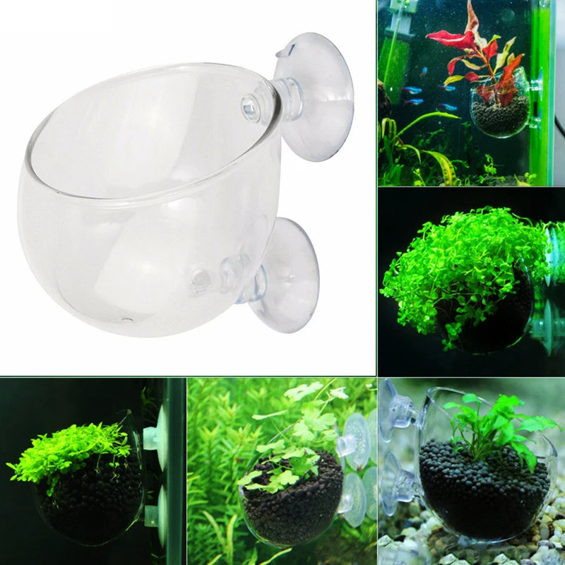 

Fish Tank Accessories Clear Crystal Glass Plant Pot Plant Cup Holder Aquarium Landscapes Cups