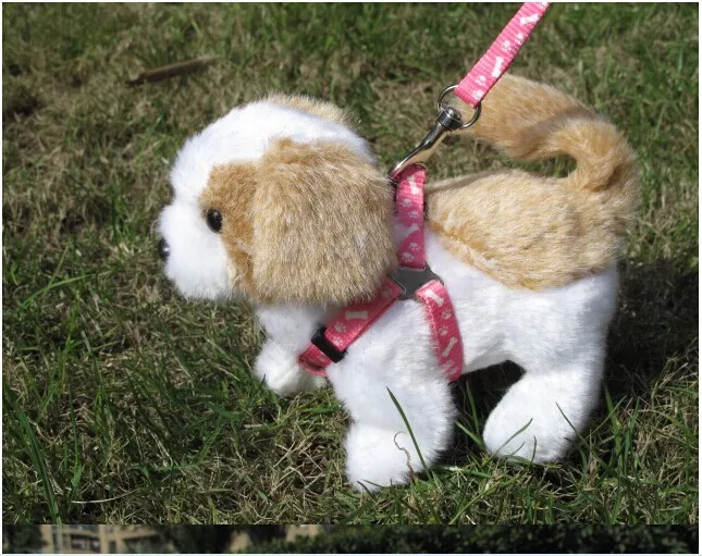 Wag Dog Walking Wag Dog Walking