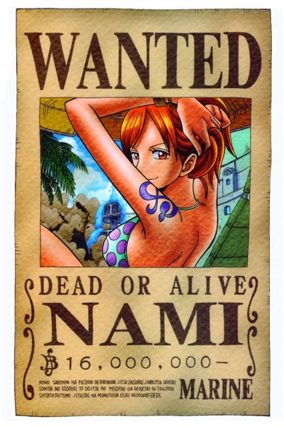 Custom Canvas Art One Piece Wanted Poster One Piece Anime Wall
