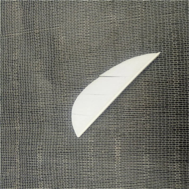 P80419-185236