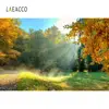 Laeacco Photo Backdrops Fallen Leaves Park Way Corner Tree Child Natural Autumn Scenic Photographic Backgrounds For Photo Studio ► Photo 3/6
