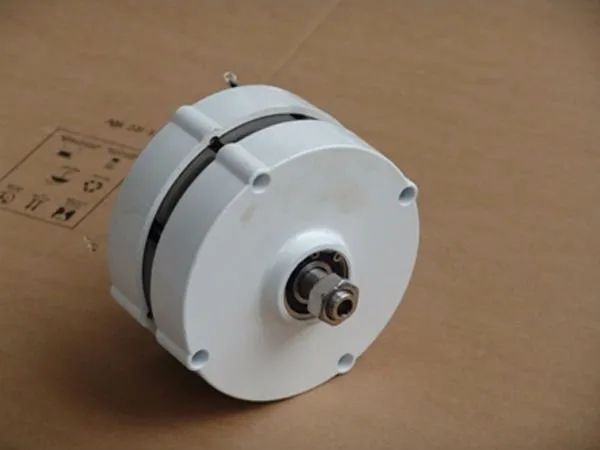 Three phase 100w brushless alternative energy alternator for wind turbine 