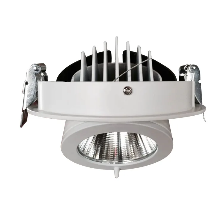 Recessed Trunk Downlight 227