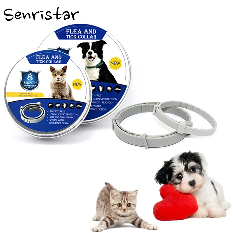 

Dog Cat Collar Anti Flea Mosquito Tick Protective Collar for Small Dog Puppy 8 Months Long-term Repellent Insect Pet Supplies