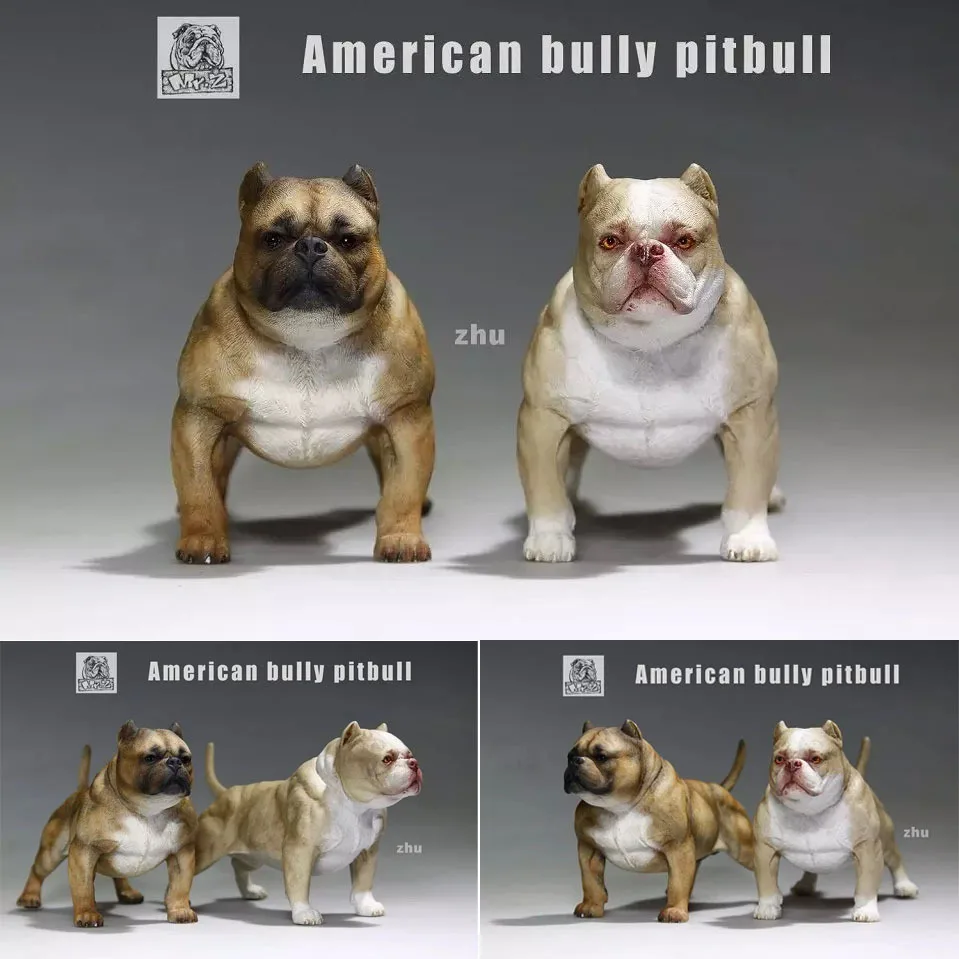 images Muscle Pitbull Dog Pictures mr z american bully pitbull muscle strength power agile dog 1 6 model in stock items