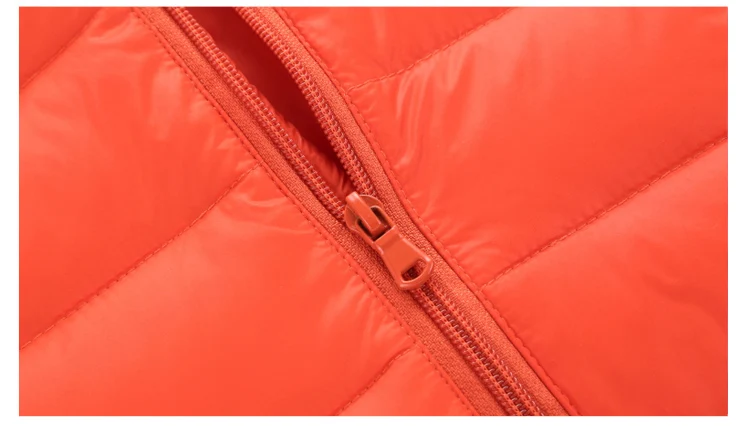  (25)