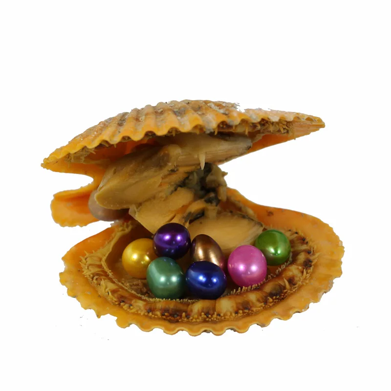 Fashion Mini Monster Red Oyster Colored 9 Rice Pearls In One red Random Mix 20 Colors AAA Round best gifts RO040 | Украшения и