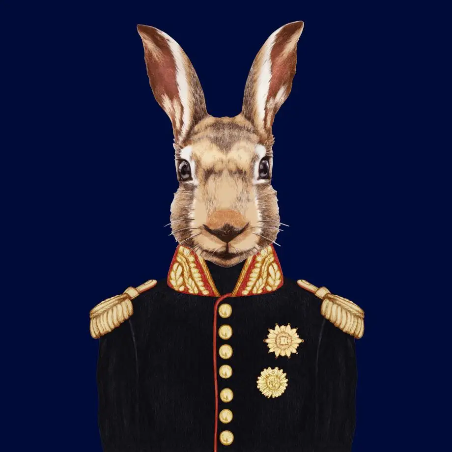 

Cartoon Rabbit Animals Art Prints Posters And Prints Wall Art Canvas Painting Nordic Poster Major Wall Pictures Kids Room Decor
