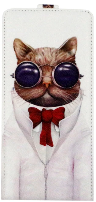 Модный кожаный чехол-книжка с мультяшным рисунком для lenovo a6010 Plus и a6000 a 6000 6010 тисненый флип-чехол для телефона - Цвет: Mr cat