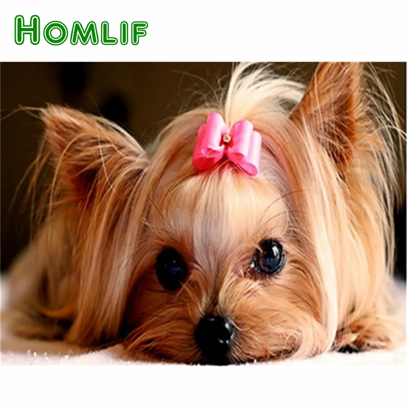 HOMLIF DIY алмазная живопись Набор для вышивки крестиком картины Стразы собак