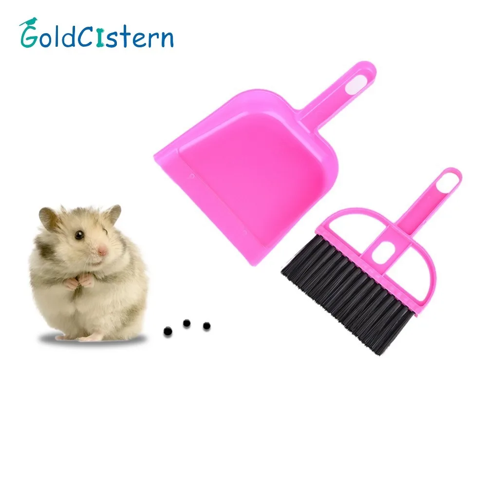 Предметы для ухаживания за животными. Инструменты для ухода за животными живого уголка. Набор для ухода за собакой. Инструменты для груминга. Предметы для ухода за животными.