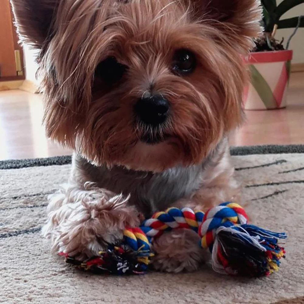 

2019 Size S/L Colorful Braid Rope Cotton Chew Toys Pet Supplies Popular Knot Toys Durable Braided Bone Rope Funny Indoor Tools