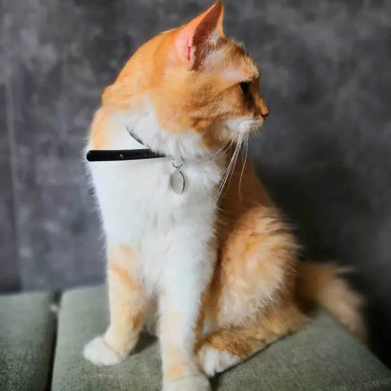 

Marvel Captain Cosplay Orange Cat Goose Necklace Avengers Endgame Toy Necklace Batman Torques Pet Collar Customizable