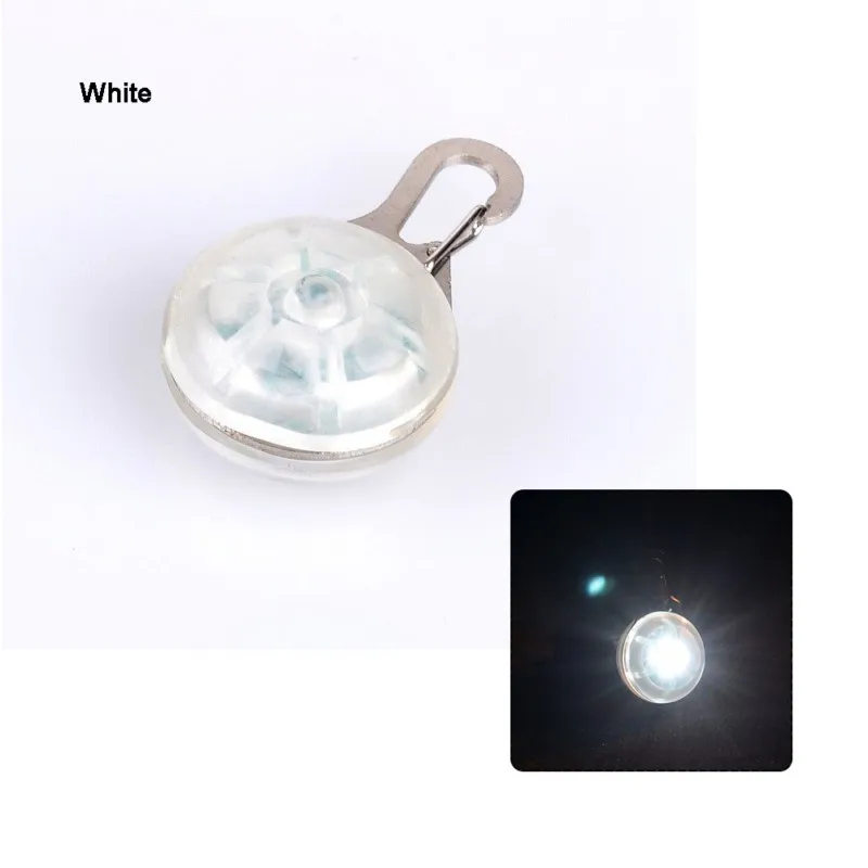 AHM13651.29