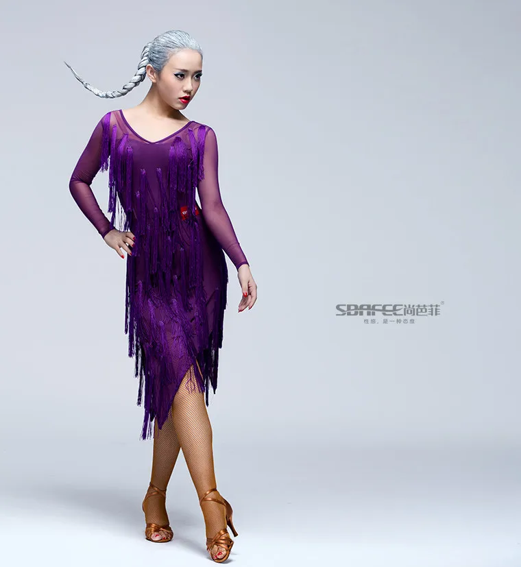 Sexy Latin Dance Dress 8
