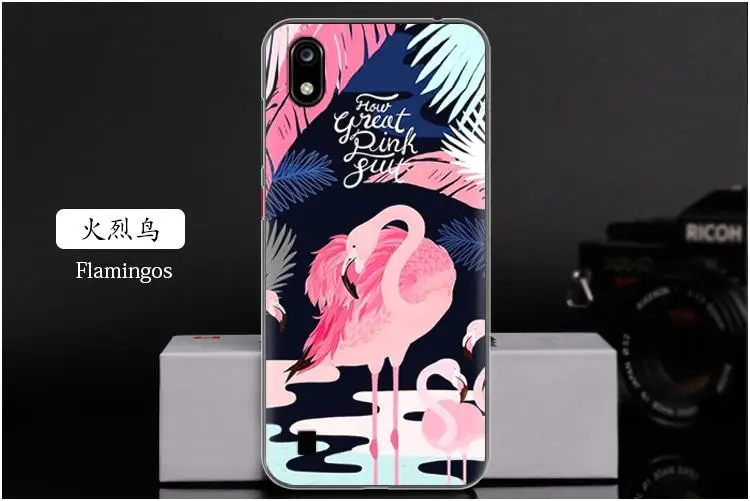 火烈鸟 Flamingos