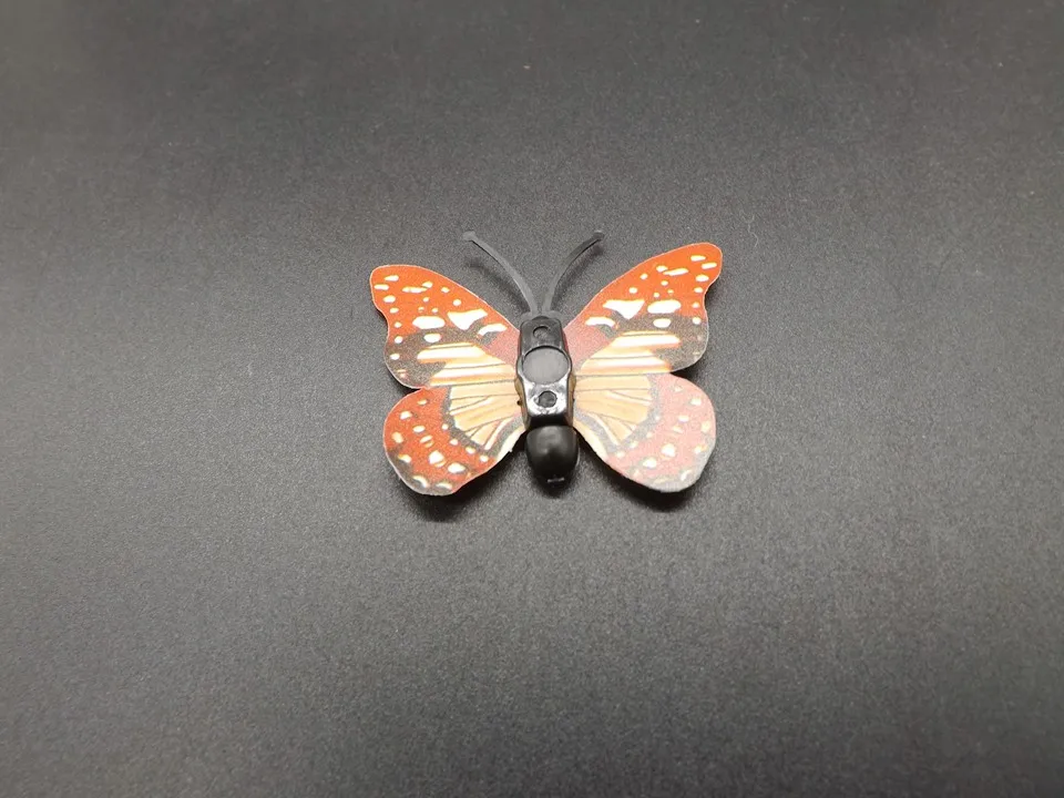 I257-Butterfly (9)