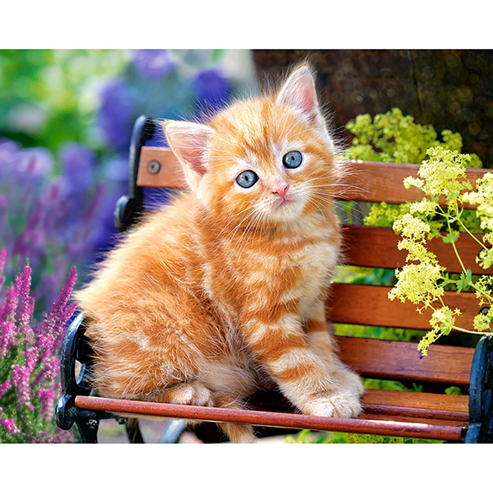 Diamond Painting Full Drill A Kitten On Bench Mosaic DIY Cross Stitch Embroidery Home Decorative Craft | Дом и сад