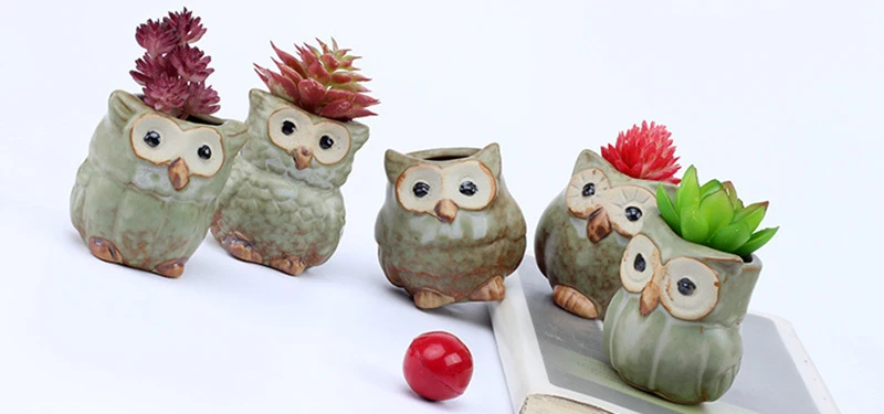 4353372338_107605335