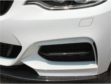 F22 AP Style Front bumper duct insert(2)