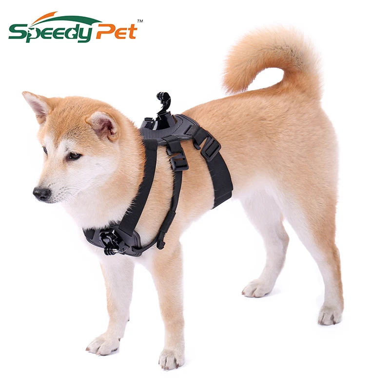 

Gopro accessories New Multi-Purpose Pet Chest Strap Pet Camera Chest Belt Adjustable Harness Black Dog Cat Chest Belt For Small