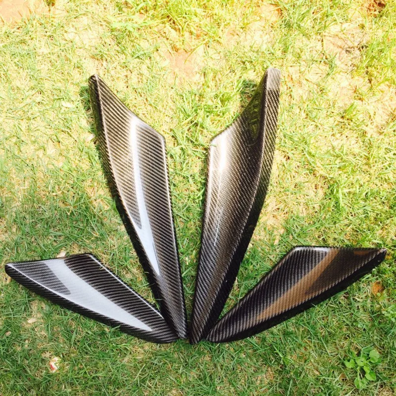 EVO10canard (2)_
