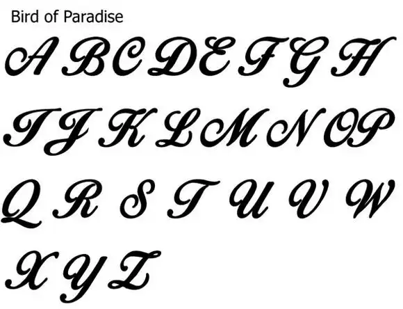 Bird Of Paradise Font 1