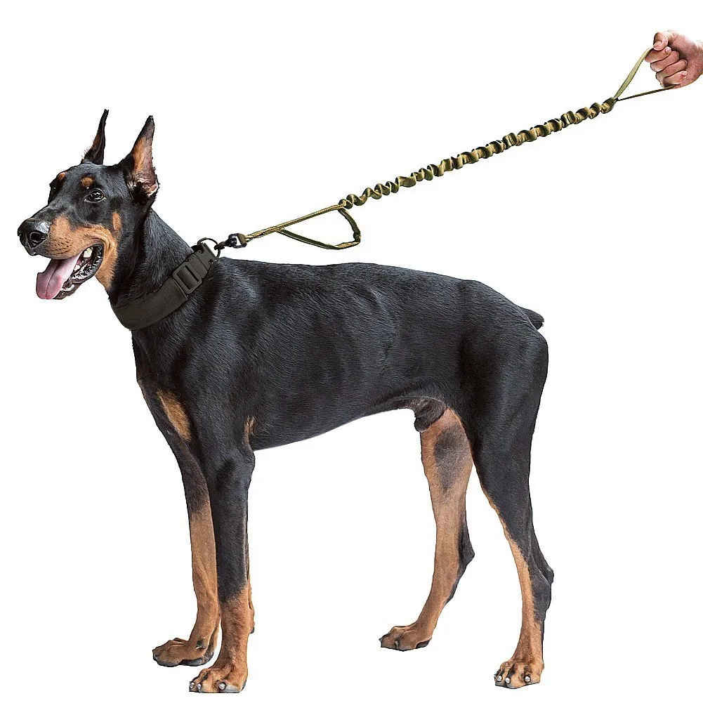 High Quality Dog Leash for Outdoor Use Thickened Retractable Elastic
